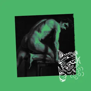 Pochette de stolen fantasy de VIRTUAL PLEASURE