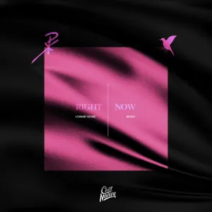 Pochette de Right Now (Cosmic Sense remix) de NURKO