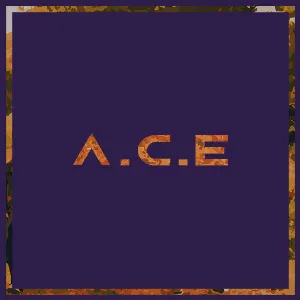 Pochette de Callin’ de A.C.E