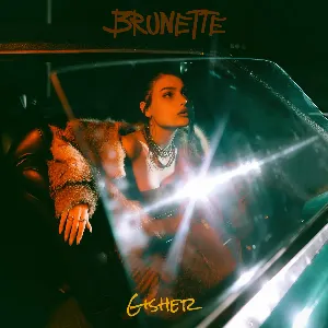 Pochette de Gisher de Brunette
