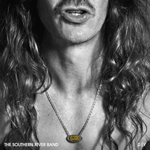 Pochette de D.I.Y. de The Southern River Band