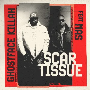 Pochette de Scar Tissue de Ghostface Killah - Nas