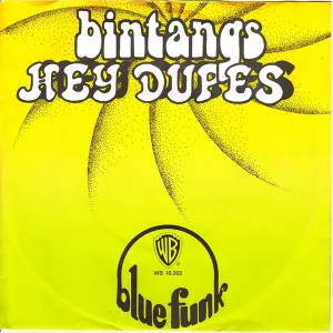 Pochette de Hey Dupes (Where Are You) / Blue Funk de Bintangs