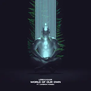 Pochette de World of Our Own de LZRD