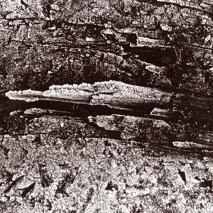 Pochette de Fujaratronics de Vidna Obmana
