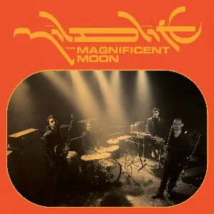 Pochette de The Magnificent Moon de Mildlife