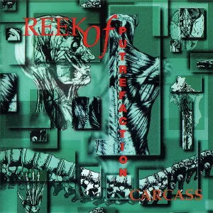 Pochette de Reek of Putrefaction de Carcass