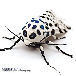 Pochette de Wide Lights From Hatred Springs de HIV+