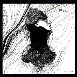 Pochette de STEM de Nate Wooley