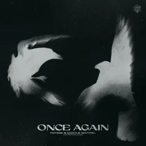 Pochette de Once Again de Matisse & Sadko