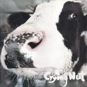 Pochette de OK목장의 젖소 de Crying Nut