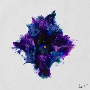 Pochette de Shifting de Teho