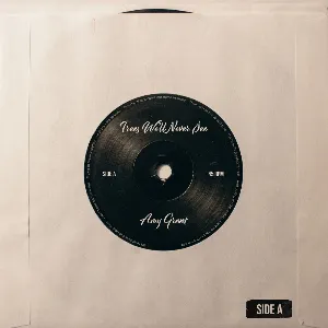 Pochette de Trees We'll Never See de Amy Grant
