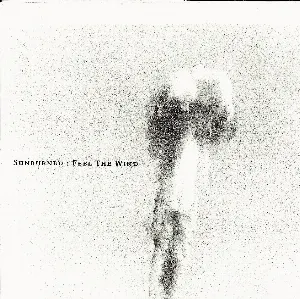 Pochette de Feel the Wind de Sunburned Hand of the Man