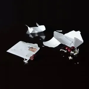 Pochette de Tilting on Windmills de Malibu