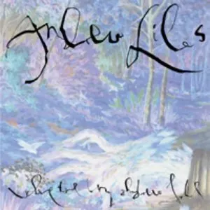 Pochette de Where the Long Shadows Fall de Andrew Liles