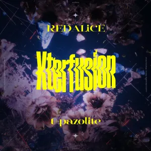 Pochette de Xterfusion de REDALiCE - t+pazolite