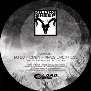 Pochette de Times Like These / Organic Dub de DJ Hidden