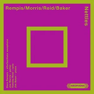 Pochette de Nettles de Joe Morris - Dave Rempis