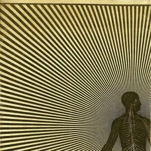 Pochette de The Splintering de Sunburned Hand of the Man