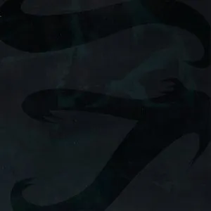 Pochette de Until Water Grasps Flame de Keiji Haino