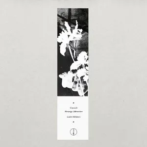 Pochette de Strange Attractor de Umwelt