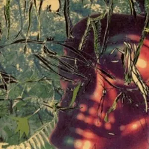 Pochette de Get Fuck de Sunburned Hand of the Man
