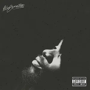 Pochette de Fishscale de Blo Smallz