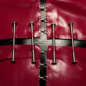 Pochette de Abracadabra (Gesaffelstein remix) de Lady Gaga