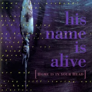 Pochette de Home Is in Your Head de His Name Is Alive