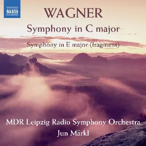Pochette Symphony in C major / Symphony in E major (fragments)