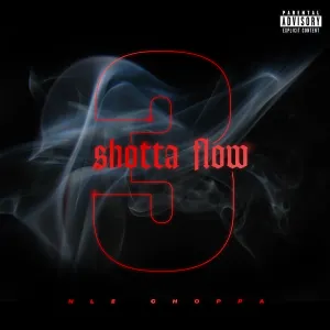 Pochette de Shotta Flow 3 de NLE Choppa