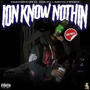 Pochette Ion Know Nothing (remix)