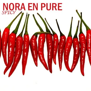 Pochette de Spicy de Nora en Pure
