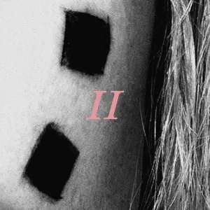 Pochette de Petals for Armor II de Hayley Williams