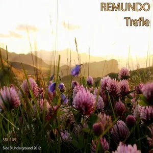 Pochette de Trefle de Remundo