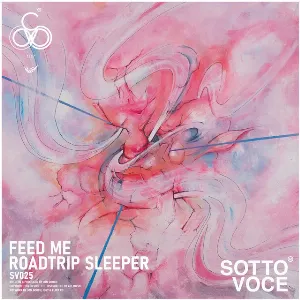 Pochette de Roadtrip Sleeper de Feed Me