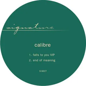 Pochette Falls to You VIP / End of Meaning