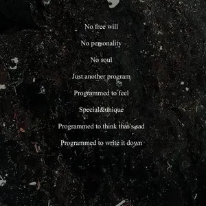 Pochette de Program de Damien De Coene