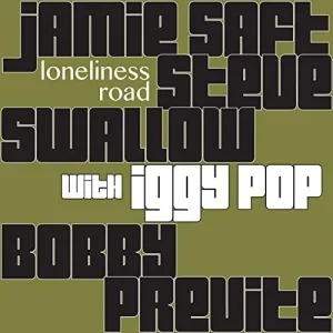 Pochette de Loneliness Road de Jamie Saft