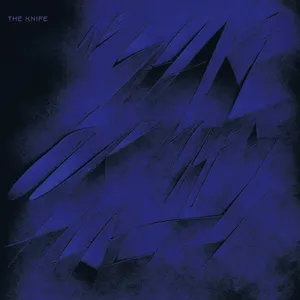 Pochette de We Share Our Mothers’ Health de The Knife