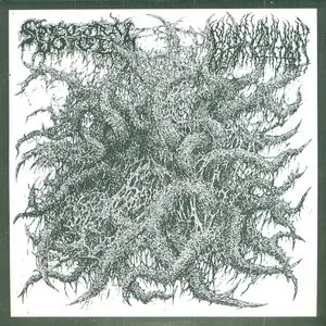 Pochette de (Slowly) Claimed by Oblivion de Spectral Voice