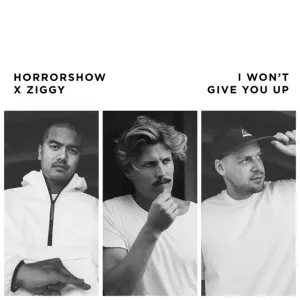 Pochette de I Won't Give You Up de Ziggy Alberts - Horrorshow