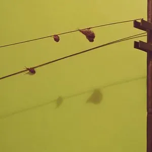 Pochette de Cover de Kevin Drumm