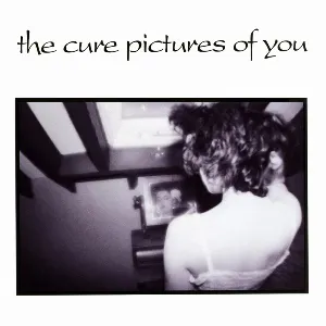 Pochette Pictures of You