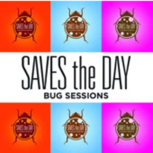 Pochette The Bug Sessions