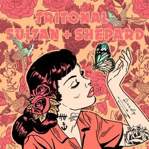 Pochette de Ready de Tritonal