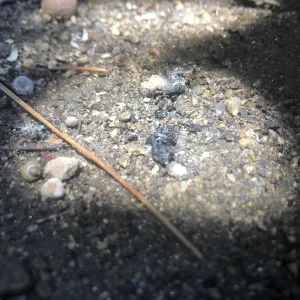 Pochette de Dust to Dust de Ueda Takayasu