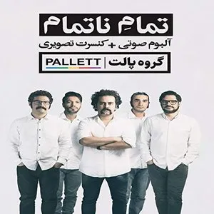 Pochette de Endless Ending de Pallett Band