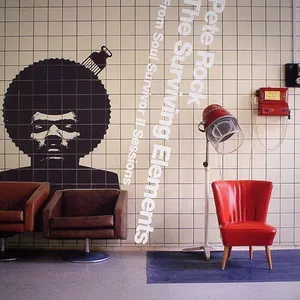 Pochette de The Surviving Elements: From Soul Survivor II Sessions de Pete Rock